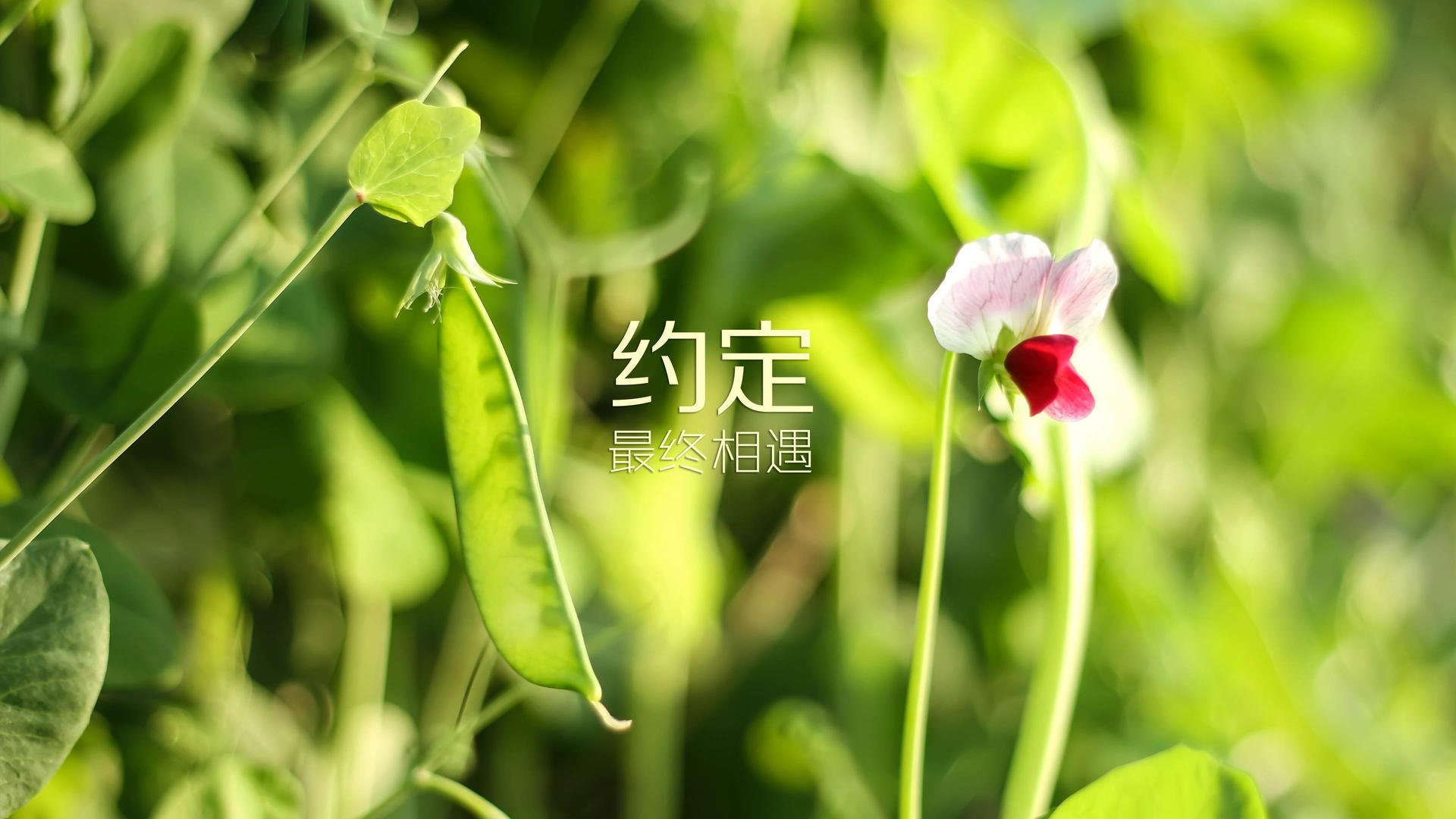 九游游戏中心官网-【“快打快赢”新规则】颠覆传统节奏，迎来“快节奏”时代！，快打一二零