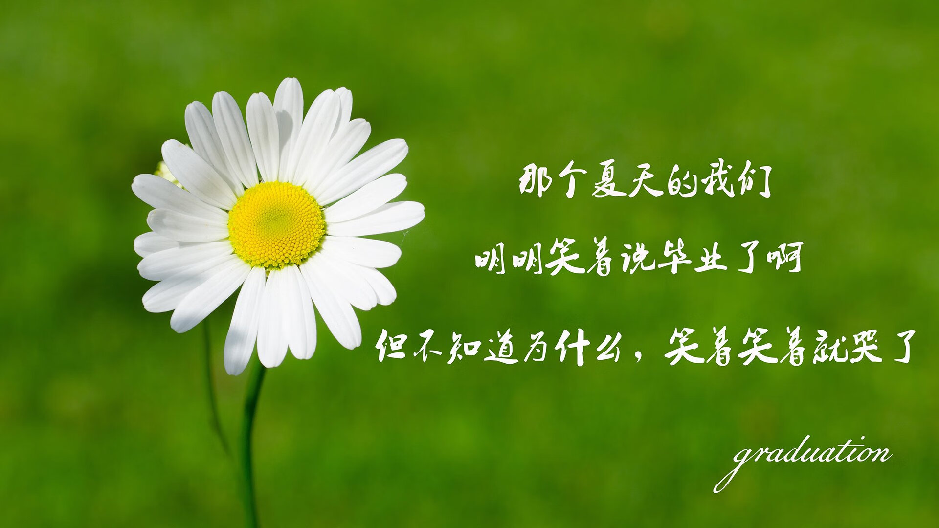 德甲比赛紧凑，精彩瞬间迭出，战术变化频繁，德甲 ds