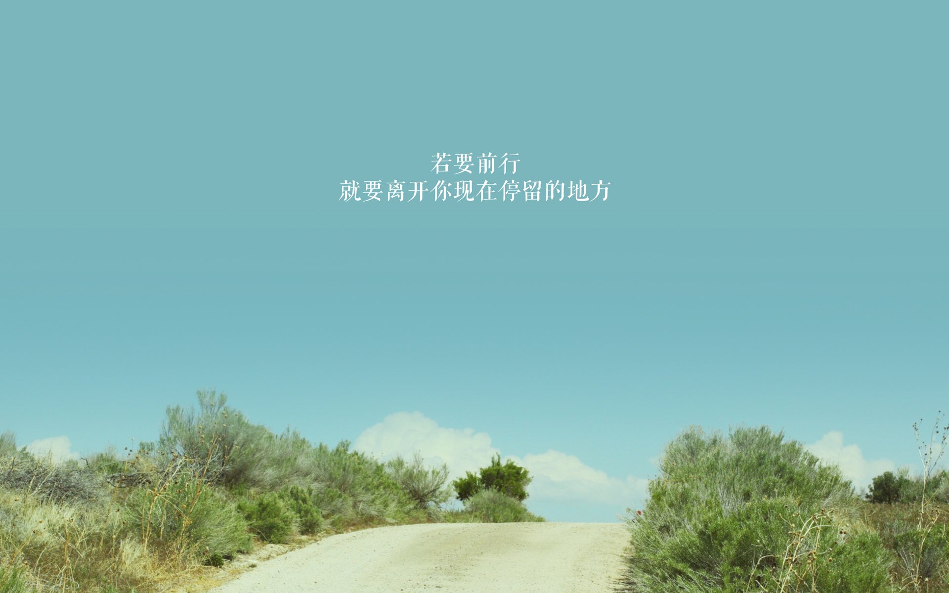 九游网-青岛男篮球队攻防节奏优化，青岛男篮内线
