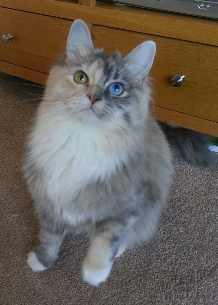 国际热身赛中国足球战胜 球迷展望未来希望,2021国足热身赛