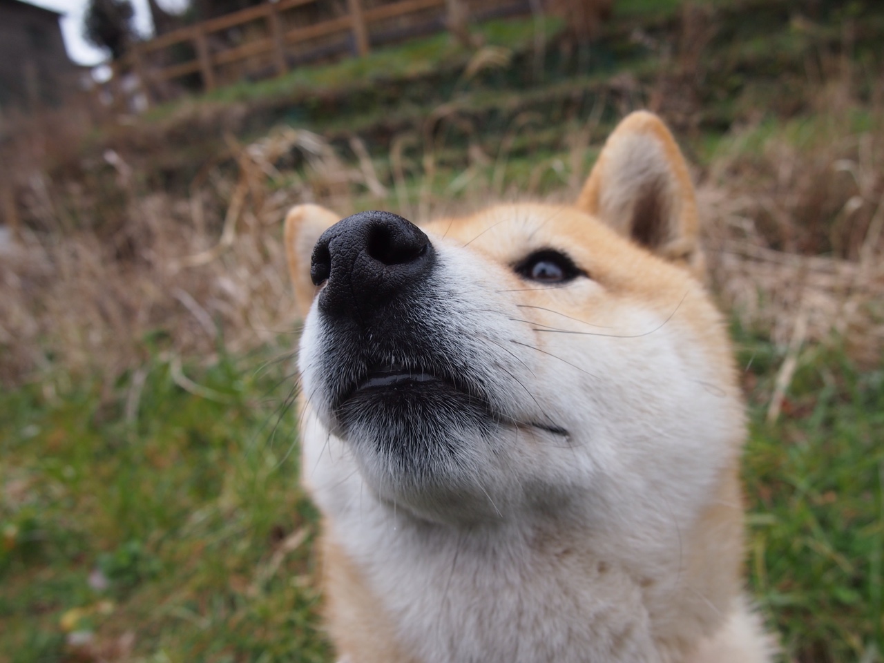 新加坡队赛制评估:如何提升团体赛中的配合与协调性,新加坡三人赛冠军