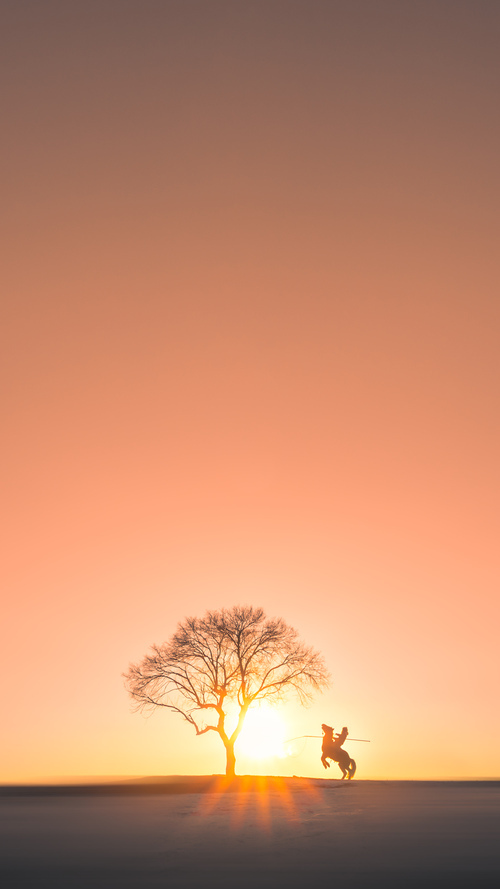 九游网页版官网-青少年运动营养课程进入中学选修体系，青少年运动营养的重要性