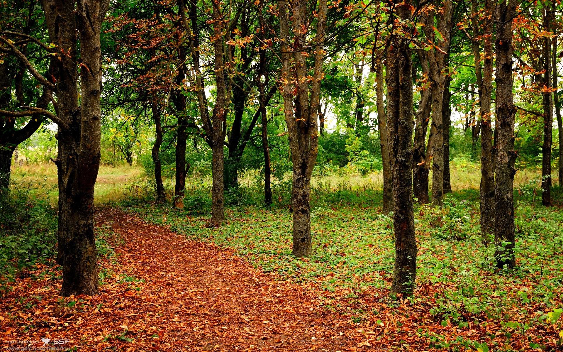 Jiu You-中超外援平均年龄下降球队更重视潜力和适应性，中超外援年薪