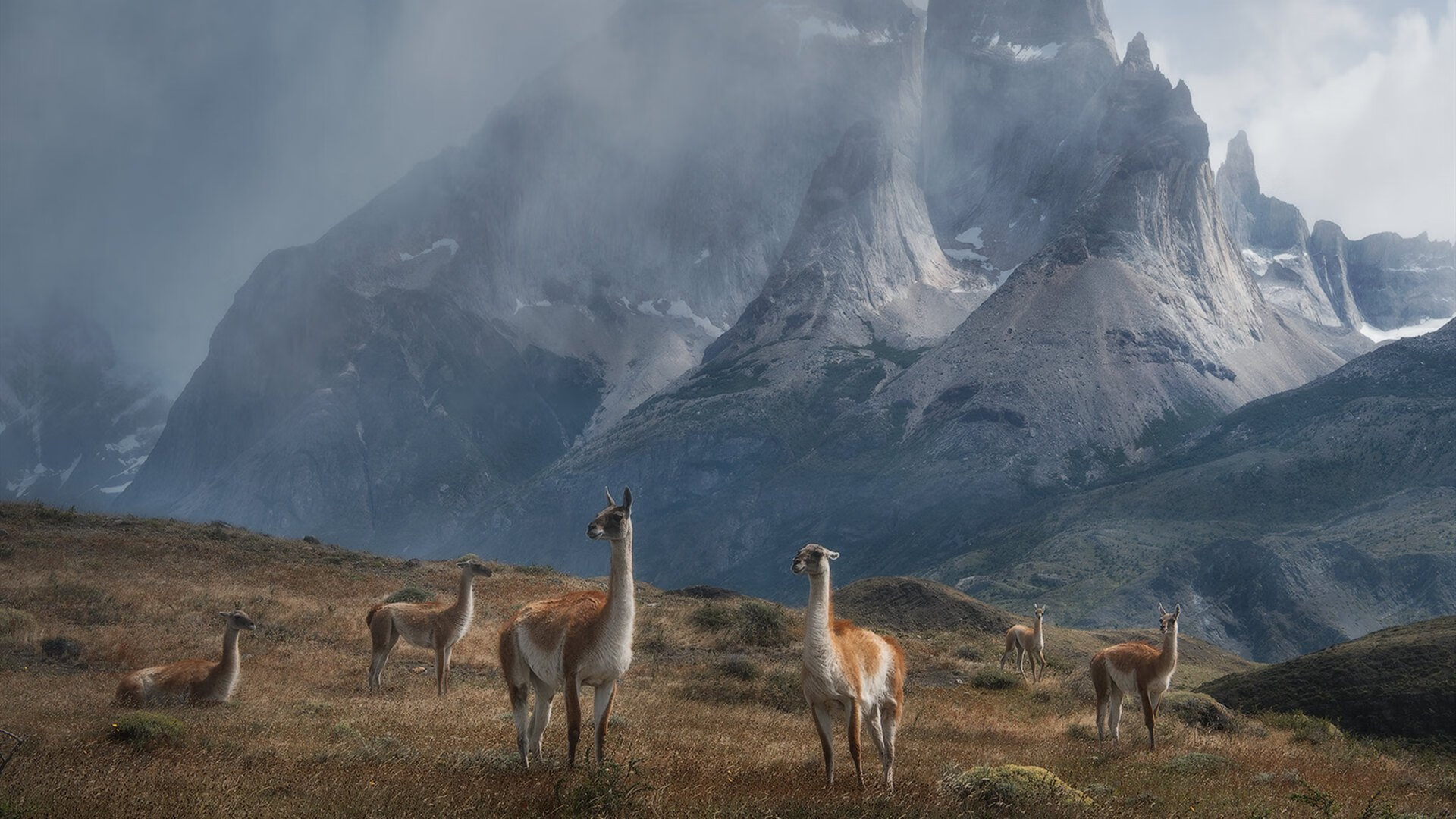 九游网页版官网-全国青少年篮球冠军杯赛新闻中心上线实时播报，2021u15全国青少年篮球赛