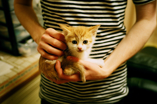 奇库诺娃蛙泳技术细腻,后程爆发力惊艳,库尼奇蛙