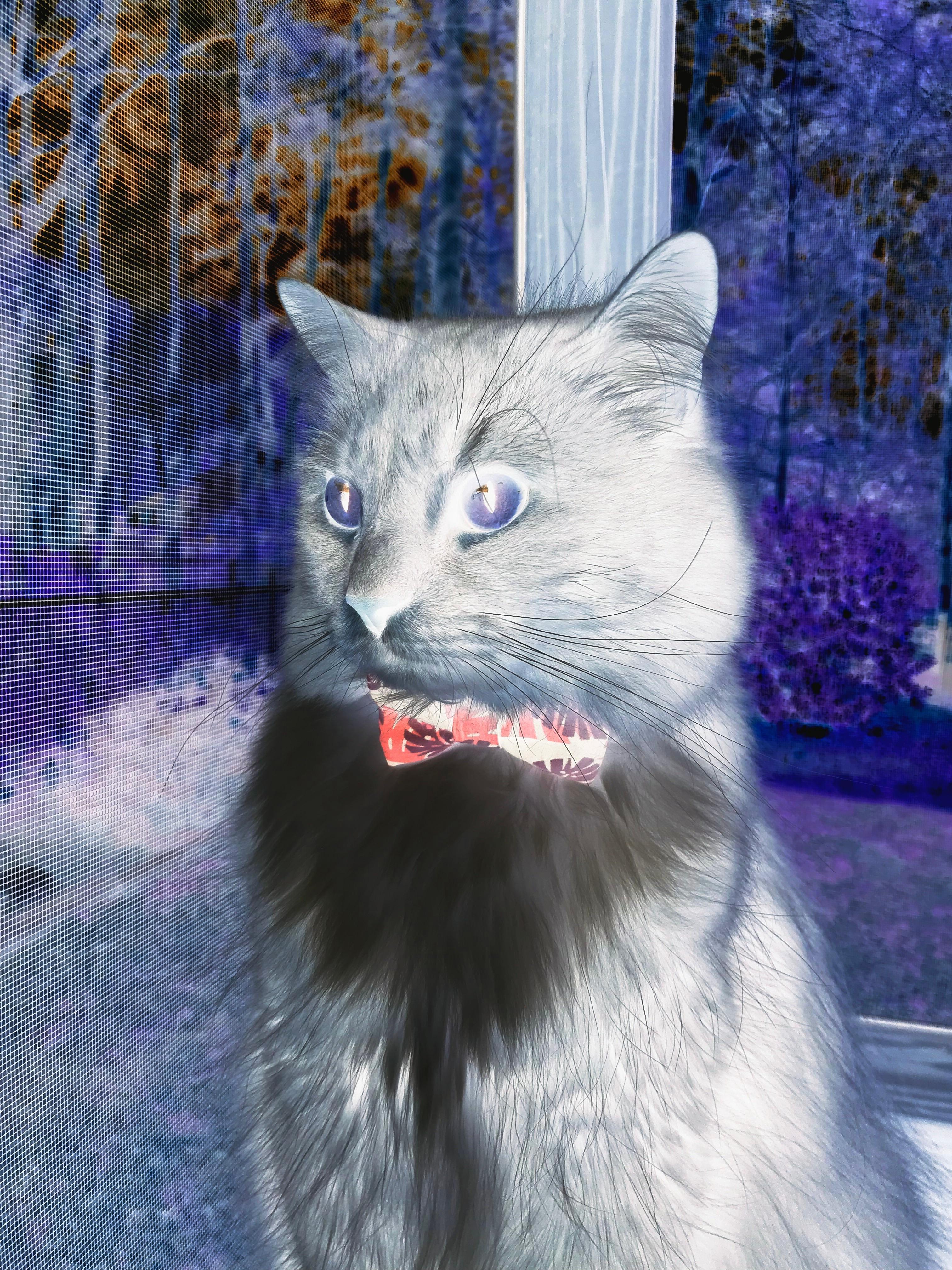 意甲华丽技术:个人突破引领潮流,意甲顶级球队