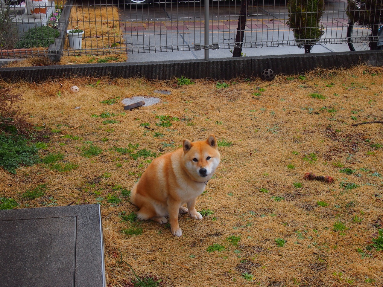 法甲宿敌激战:攻守之间的精彩博弈,法甲宿敌激战_攻守之间的精彩博弈是什么