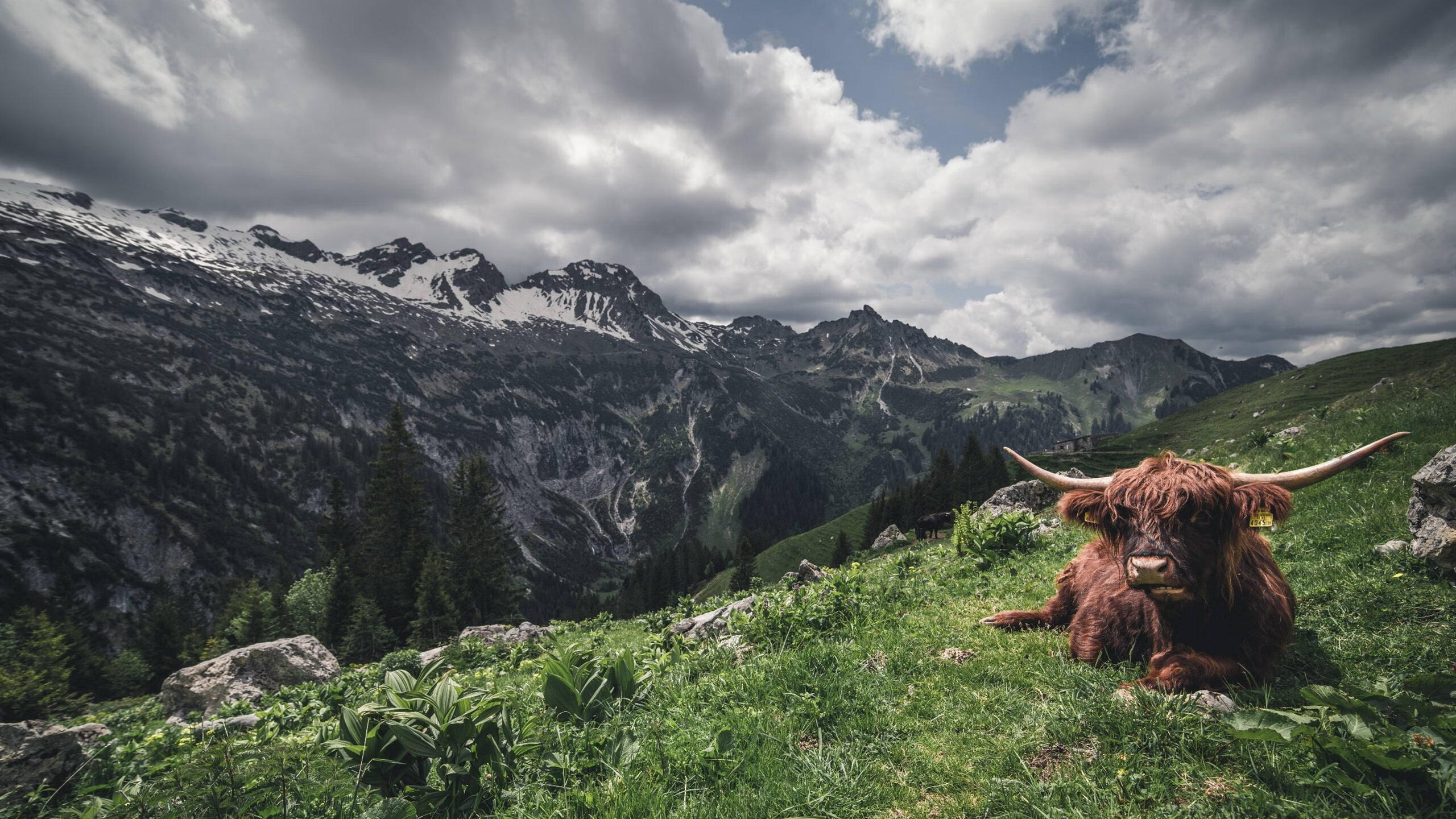 九游游戏中心官网-热火新援在高压对抗中表现冷静稳定